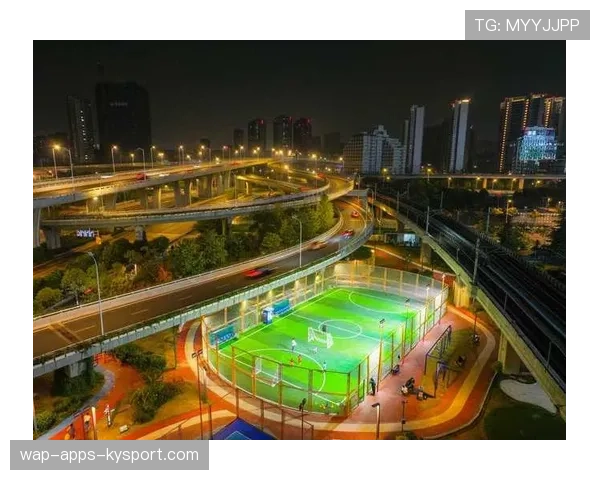 球场夜间观众热力与应急出口优化实证研究，球场夜景图